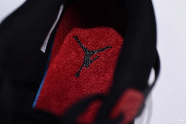 Rep TBK Retro 4 Jordan AQ3816-065 Air NRG Raptors